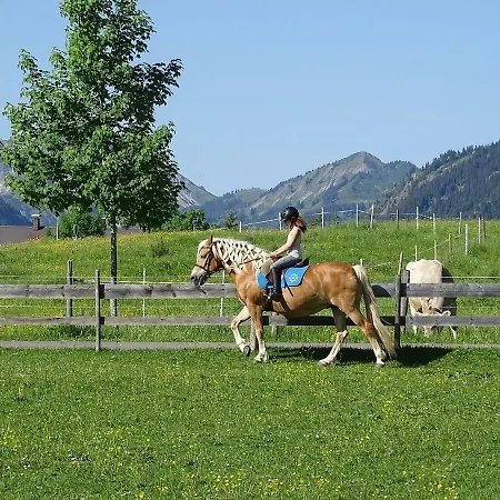 Διαμέρισμα Haflingerhof - Oberjoch Bad Hindelang