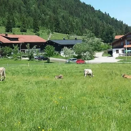 Haflingerhof - Oberjoch Apartman