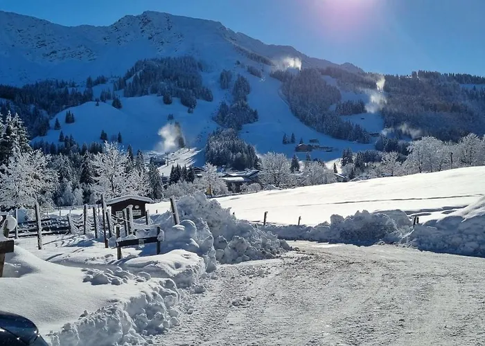 Haflingerhof - Oberjoch Διαμέρισμα *