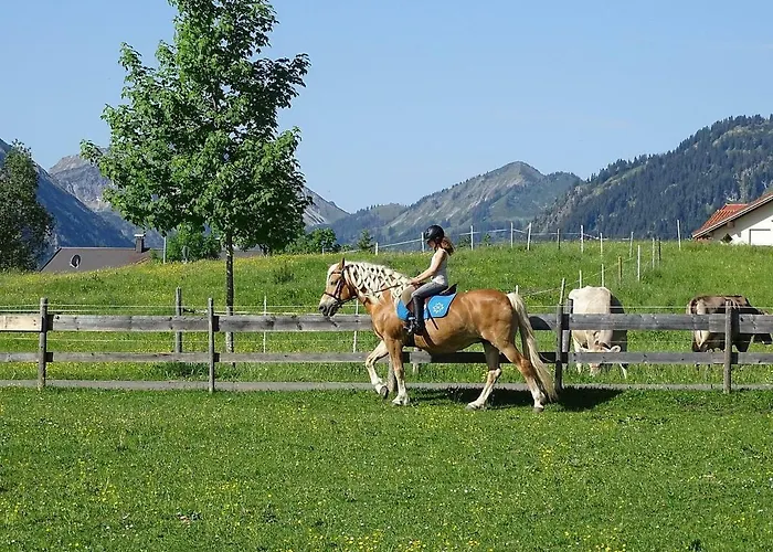 Διαμέρισμα Haflingerhof - Oberjoch Bad Hindelang